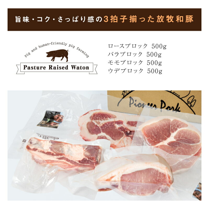 【ふるさと納税】≪放牧和豚≫4種のブロック食べ比べセット【合計2kg】 - 豚肉 食べ比べ 部位 ロース肉/バラ肉/モモ肉/ウデ肉 かたまり ブロック肉 かたまり肉 冷凍 小分け 真空 個包装 Pioneer Pork (パイオニアポーク) 詰め合わせ こだわり 送料無料 【宮崎県木城町】