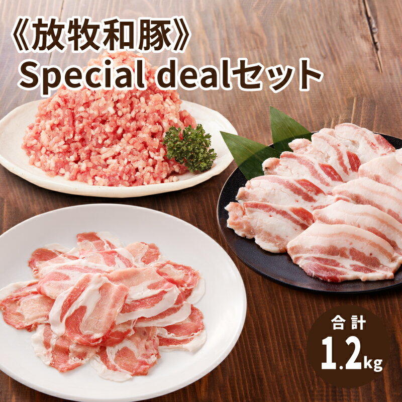 【ふるさと納税】≪放牧和豚≫Special dealセット 【合計1,200g】 - 国産 豚肉 豚 真空 小分け 冷凍 豚ロ..