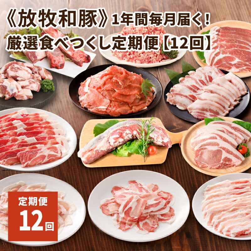 9位! 口コミ数「0件」評価「0」≪放牧和豚≫厳選食べつくし定期便【12回】1年間毎月届く！ - 国産 豚肉 豚 冷凍 小分け 真空トレイ 12ヶ月定期便 ブランド豚 定期便･･･ 