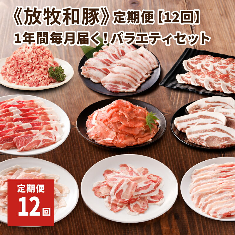 【ふるさと納税】≪放牧和豚≫定期便【12回】1年間毎月届く！バラエティセット - 国産 豚肉 豚 冷凍 小分け 真空トレイ ブランド豚 定期便 肉 詰め合わせ 毎月 お楽しみ 定期 しゃぶしゃぶ 焼肉 こま切れ こだわり 送料無料 【宮崎県木城町】