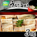 宮崎県産うなぎ白焼き3尾セット - 鰻 ウナギ 国産うなぎ 国内産 素焼き 塩/わさび/抹茶塩/わさび醤油 酒のつまみ おつまみ 肴 うなぎの蒲焼き ひつまぶし/うな丼/うな重/鰻重/鰻丼/鰻巻き 惣菜 瞬間冷凍 タレ付き 送料無料