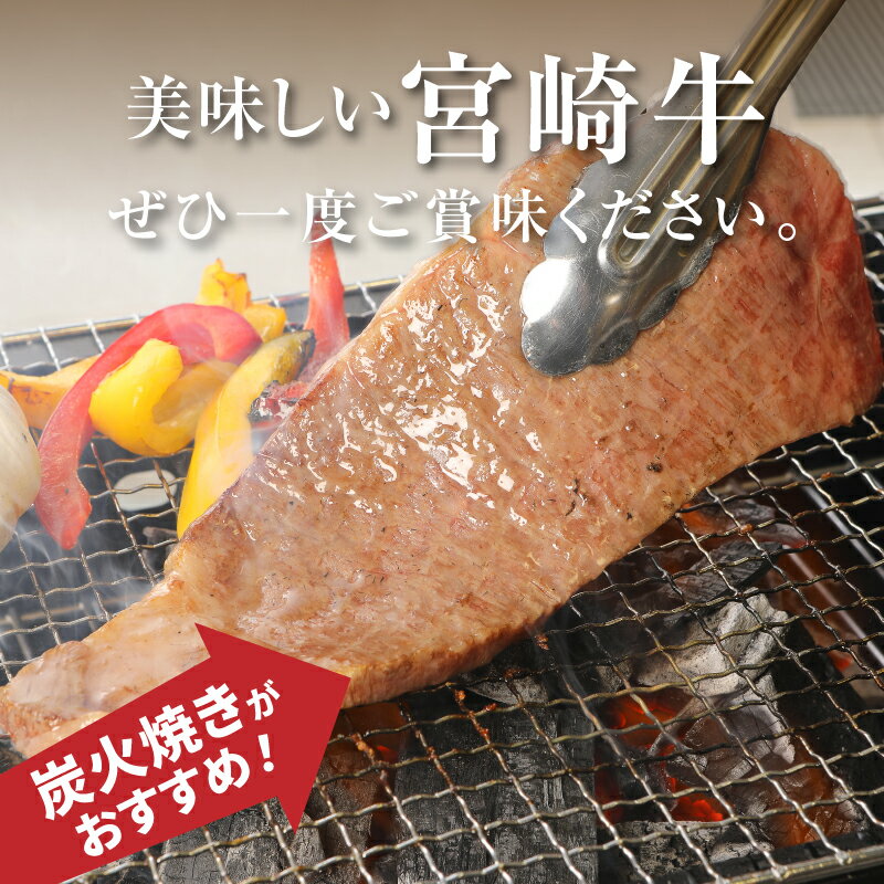 宮崎県木城町の画像2