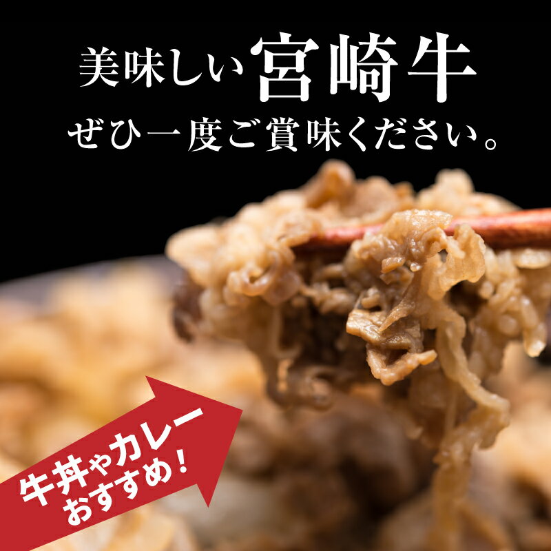 宮崎県木城町の画像2