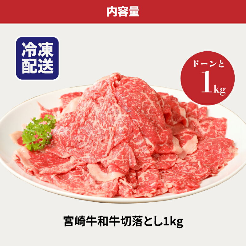 宮崎県木城町の画像3