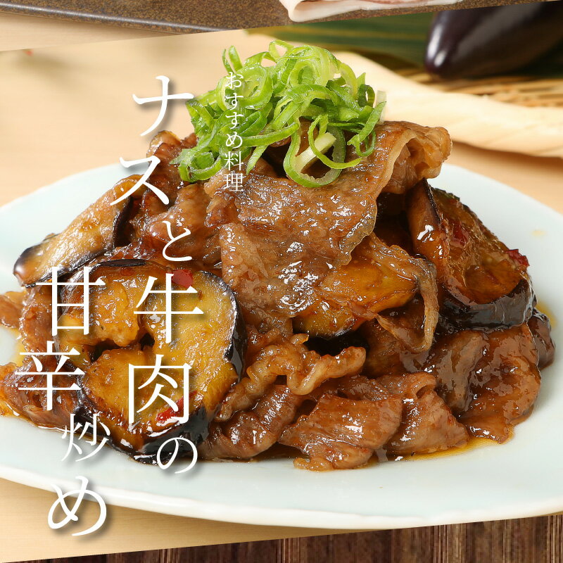 宮崎県木城町の画像2