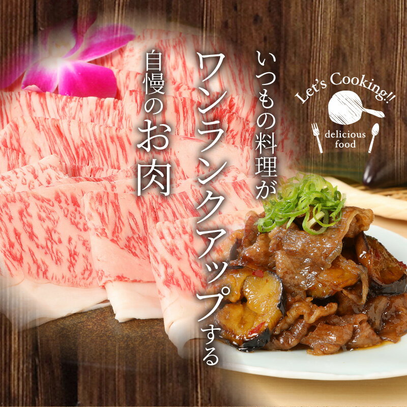 宮崎県木城町の画像3