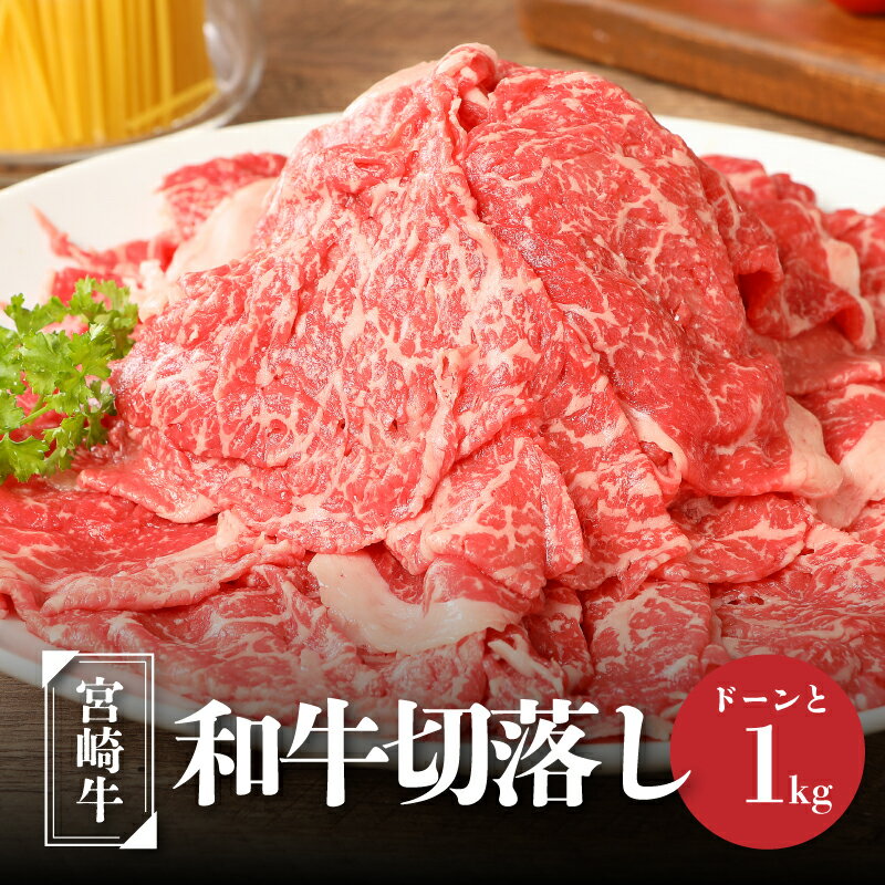 宮崎牛和牛切り落とし1kg - ブランド牛 国産牛肉 国産黒毛和牛 A4等級A5等級 綺麗なサシ とろけるような食感 和牛ブランド 切落とし 牛丼/肉じゃが 送料無料 K01_0011 【宮崎県木城町】