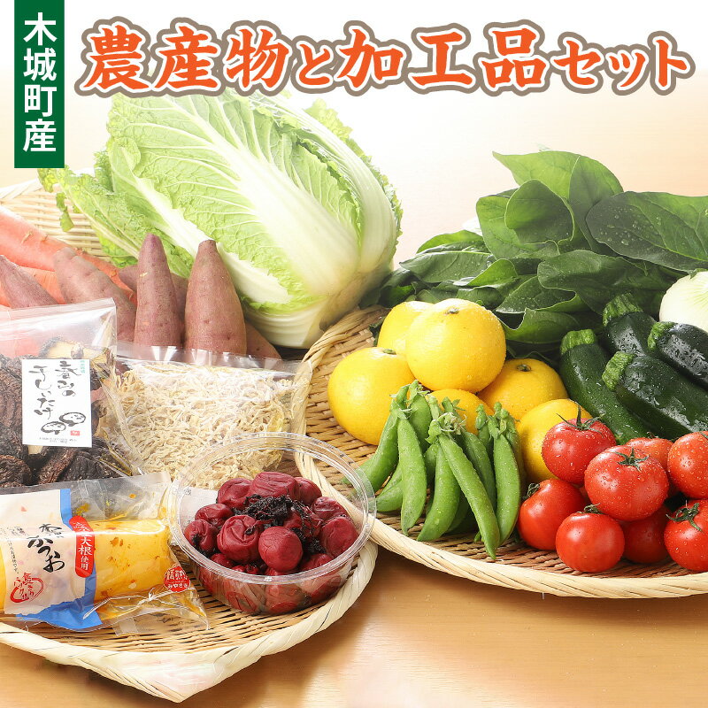 【ふるさと納税】木城町産農産物と加工品セット - 産地直送 野菜セット 旬の野菜6〜8品程度 季節の野...