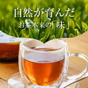 宮崎県木城町の画像3