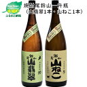 【ふるさと納税】焼酎尾鈴山（山翡翠1本 山ねこ1本） 本格焼酎 米焼酎 芋焼酎 尾鈴山蒸留所 お湯割り 水割り ソーダ割り ロック ストレート 飲み比べ【宮崎県木城町】