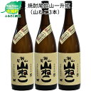 焼酎尾鈴山 山ねこ 一升瓶3本 - 本格芋焼酎 いも焼酎 お酒 おしゃれ アルコール度数25度 甘藷(ジョイホワイト) 米麹(ヒノヒカリ) 甘藷由来の柑橘のような爽やかさ 芋の甘さ 麹の香ばしい香り すっきりとした口当たり 送料無料 