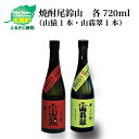 焼酎尾鈴山（山猿1本・山翡翠1本）各720ml 本格焼酎 麦焼酎 米焼酎 尾鈴山蒸留所 お湯割り 水割り ロック ソーダ割 ストレート 飲み比べ