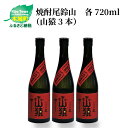 【ふるさと納税】焼酎尾鈴山 山猿 720ml×3本 - 本格