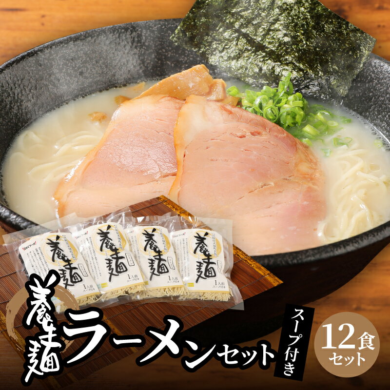 養生麺ラーメン詰合せ 12袋入り - しょう油味 とんこつ味 粉末スープ ご当地グルメ 宮崎県木城町名物 養生麺(ようじょうめん) 冷蔵 生麺 ヘルシー 食物繊維 モチモチ食感 醤油ラーメン 豚骨ラーメン 送料無料 [宮崎県木城町]