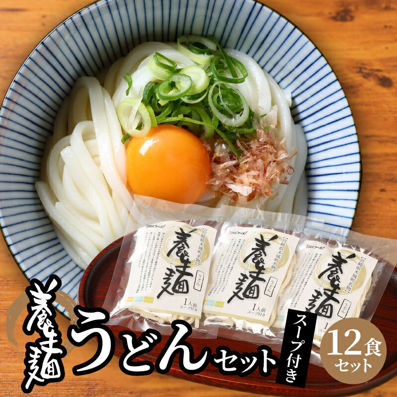 養生麺うどん詰合せ 12袋入り - 木城町名物 養生麺(ようじょうめん) 生麺 細うどん ざるうどん 粉末スープ 出汁付き 食物繊維を含んだヘルシーな麺 のどごし モチモチ ツルッ 詰め合わせ 送料無料[宮崎県木城町]
