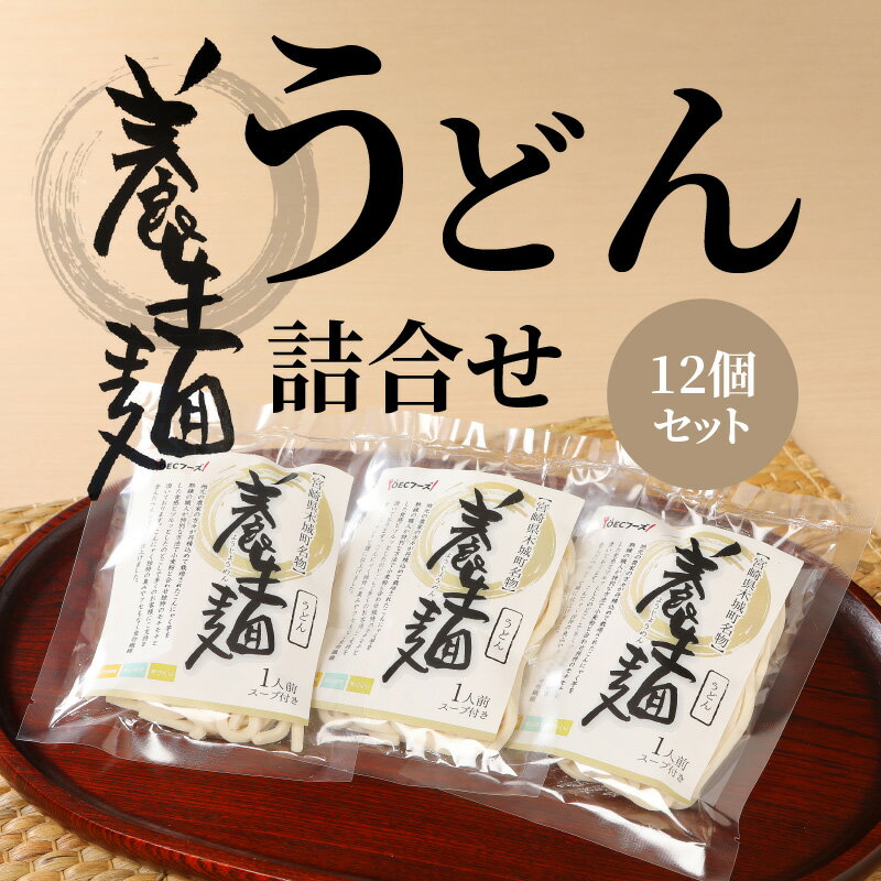 【ふるさと納税】養生麺うどん詰合せ 12袋入り - 木城町名物 養生麺(ようじょうめん) 生麺 細うどん ざるうどん 粉末スープ 出汁付き 食物繊維を含んだヘルシーな麺 のどごし モチモチ ツルッ 詰め合わせ 送料無料 K10_0002 【宮崎県木城町】