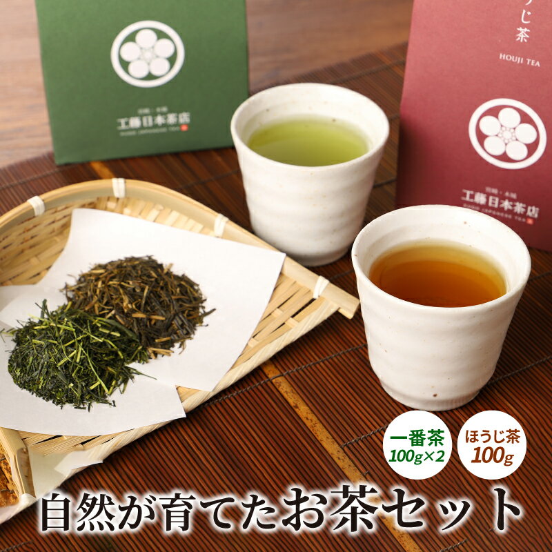 [レビューキャンペーン対象]自然が育てたお茶セット - 栽培期間中無農薬 お茶っ葉 一番茶2個 ほうじ茶1個 箱入り 普段使い 休憩に お茶の葉 ギフト さわやか 香ばしい 常温保存 茶葉 送料無料[宮崎県木城町]