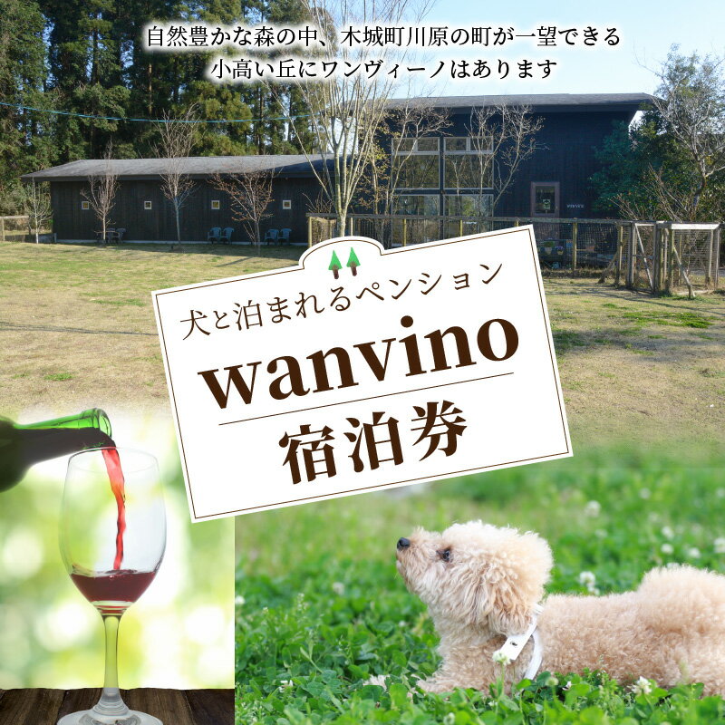 【ふるさと納税】【レビューキャンペーン対象】犬と泊まれるペンション「wanvino」宿泊券 - 宮崎 宿泊 トラベル ペット可 ペット同伴 九州 ペットと泊まれる宿 ペットOK わんちゃん ドッグラン付きペンション 一緒に泊まれる トリミングルーム 送料無料【宮崎県木城町】その2