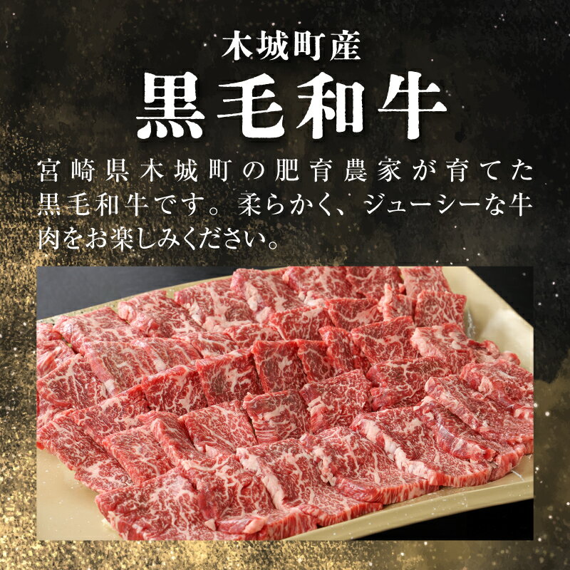 宮崎県木城町の画像2