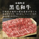 宮崎県木城町の画像2