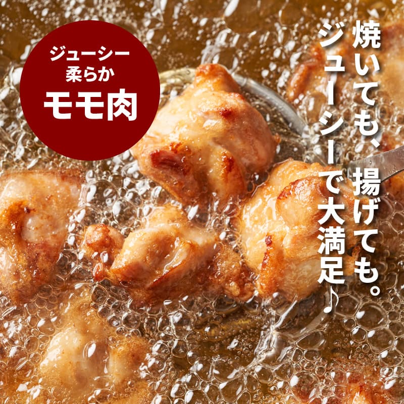 宮崎県木城町の画像2