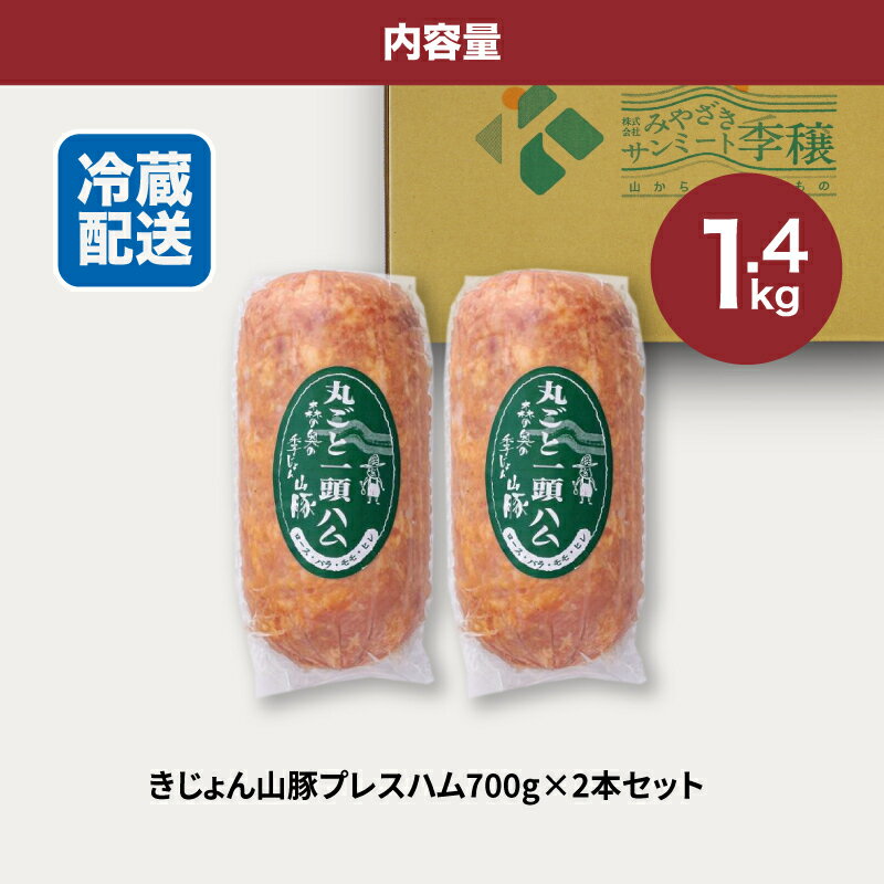 宮崎県木城町の画像3