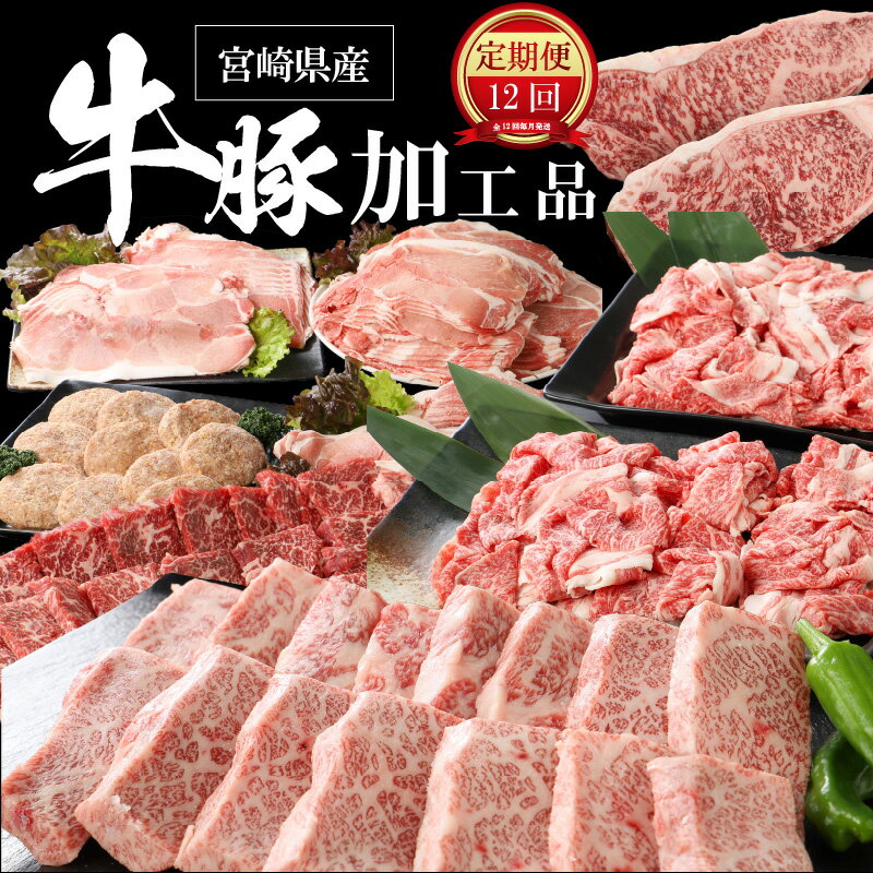 【ふるさと納税】12か月定期便 宮崎県産 牛・豚・加工品定期便！ - 宮崎牛ステーキ 黒毛和牛焼き肉 豚肉切り落とし ポークハンバーグ 黒毛和牛カルビ焼肉 宮崎牛バラ肉すき焼き用A4等級以上 牛丼のもと オリジナルカレー 12ヶ月 送料無料 【宮崎県木城町】