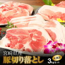 22位! 口コミ数「13件」評価「4.46」宮崎県産豚切落し3kg(500g×6パック) - 国産豚肉 切り落とし 小分け 冷凍 1パック500g 生姜焼き/肉野菜炒め お肉 ストック･･･ 