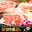 【ふるさと納税】宮崎県産豚切落し3kg(500g×6パック) - 国産豚肉 切り落とし 小分け 冷凍 1パック500g 生姜焼き/肉野菜炒め お肉 ストック食材 万能食材 常備食 ポーク 送料無料 【宮崎県木城町】