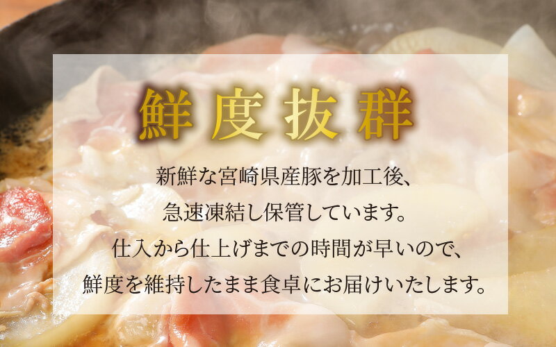 【ふるさと納税】宮崎県産豚切落し3kg(500g×6パック) - 国産豚肉 切り落とし 小分け 冷凍 1パック500g 生姜焼き/肉野菜炒め お肉 ストック食材 万能食材 常備食 ポーク 送料無料 【宮崎県木城町】