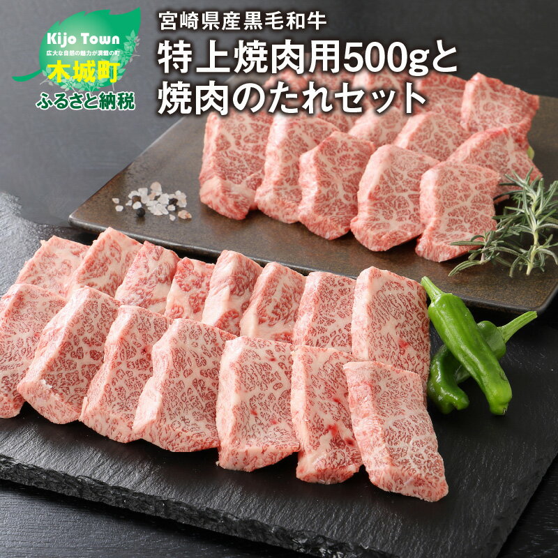 宮崎県産黒毛和牛 特上焼肉用500gと焼肉のたれセット - 国産牛肉 焼き肉用カット 250g×2パック 小分け バーベキュー・キャンプにそのまま持って行けるので便利 たれ付き BBQ 焼肉の定番 送料無料 [宮崎県木城町]