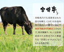 宮崎県木城町の画像2