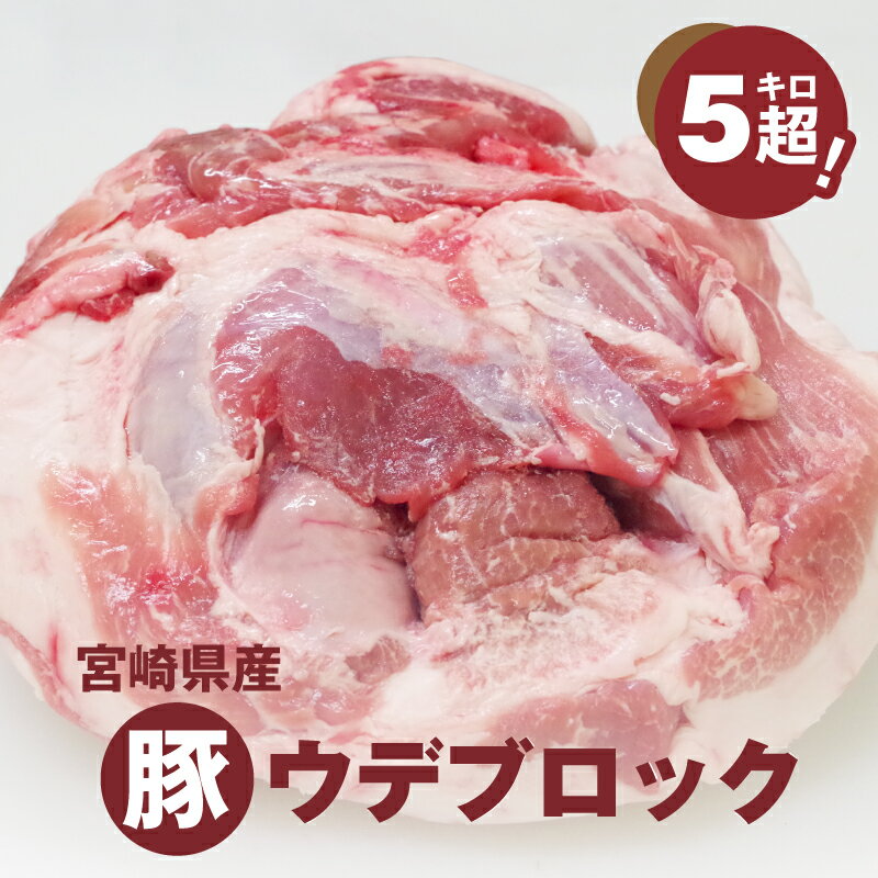 【ふるさと納税】宮崎県産豚ウデブロック5kg超！ - 国産豚肉 ウデ肉 かたまり肉 5キロ 冷凍 大容量 ブ...