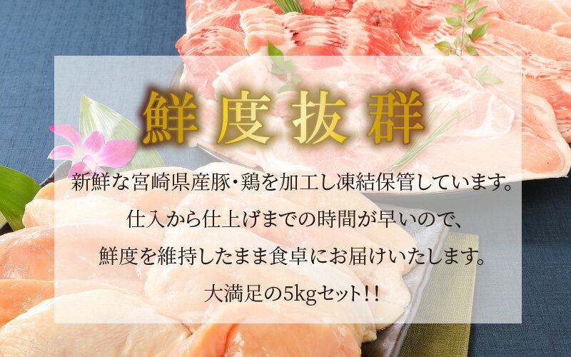 【ふるさと納税】【レビューキャンペーン対象】宮崎県産豚・鶏5kgセット - 鶏むね肉3kg(真空パック) 豚こま2kg(トレー) 国産鶏肉×国産豚肉のセット 鶏ムネ肉 豚肉 小間切れ こま切れ ファミリー向け 豚肉 切り落とし 送料無料【宮崎県木城町】