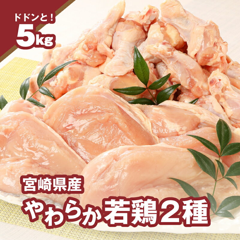 【ふるさと納税】宮崎県産鶏 やわらか若鶏2種5kg - 鶏むね肉 手羽元 国産若鶏 鶏肉セット 冷凍 唐揚げ/グリルチキン/さっぱり煮 たんぱく質 胸肉 送料無料 【宮崎県木城町】