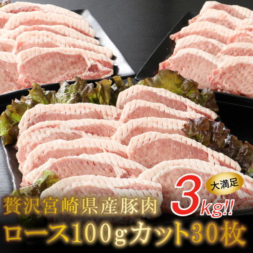 【ふるさと納税】＜贅沢宮崎県産豚肉ロース100gカット30枚＞ K16_0018 送料無料 【宮崎県木城町】