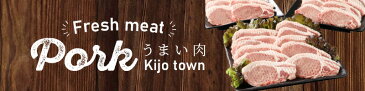 【ふるさと納税】＜贅沢宮崎県産豚肉ロース100gカット30枚＞ K16_0018 送料無料 【宮崎県木城町】