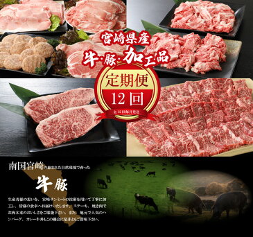 【ふるさと納税】<12か月定期便 宮崎県産 牛・豚・加工品定期便!> K16_0031 送料無料【宮崎県木城町】