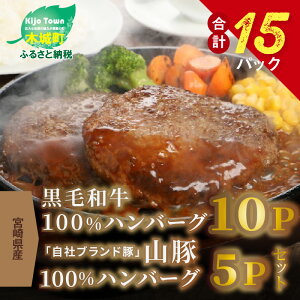 【ふるさと納税】<宮崎県産黒毛和牛100%ハンバーグ10P 宮崎県産「自社ブランド豚」山豚100%ハンバーグ5P セット> K16_0041 送料無料 【宮崎県木城町】