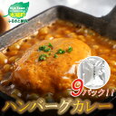 【ふるさと納税】【ご当地カレー】ハンバーグカレー 9パック 【宮崎県木城町】