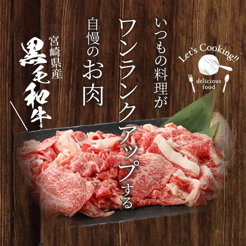 【ふるさと納税】福袋 木城町 お肉いろいろお楽しみセットB - 総重量5kg 訳ありスパイシーチキン/豚ロースブロック/豚ミンチ/黒毛和牛切り落とし わけあり スパチキ 冷凍 食品 国産 鶏肉 豚肉 国産牛肉 ブロック肉 送料無料【宮崎県木城町】