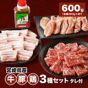 【ふるさと納税】宮崎県産焼肉3種セット【タレ付き】(牛・豚・鶏)計600gカット済み - 焼肉セット 焼肉のたれ 焼き肉 食べ比べセット バーベキュー 肉 牛肉 豚肉 鶏肉 小分け 焼くだけ 詰め合わせ 牛豚鶏 冷凍 牛カルビ 豚バラ肉 鶏もも肉 セット 送料無料 【宮崎県木城町】