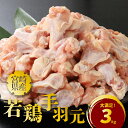 【ふるさと納税】宮崎県産若鶏手羽元3kg - 冷凍 唐揚げ/グリルチキン/さっぱり煮 たんぱく質 鶏肉 国産 宮崎県産 真空パック 送料無料 【宮崎県木城町】