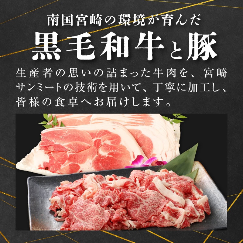 宮崎県木城町の画像2