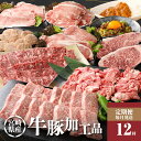 【ふるさと納税】12か月定期便 宮崎県産 牛・豚・加工品定期便! - 宮崎牛ステーキ 黒毛和牛焼き肉 豚肉切り落とし ハンバーグ 黒毛和牛カルビ焼肉 宮崎牛バラ...