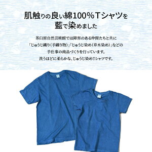 【ふるさと納税】【レビューキャンペーン対象】じゅうじ染め・藍染めTシャツ - ファッション メンズ レディース 大人用 ブルー 半袖 おしゃれ 無地 こなれ感 優しい風合い 男性 女性 WM/WL/S/M/L/XL 綿100％ 送料無料【宮崎県木城町】