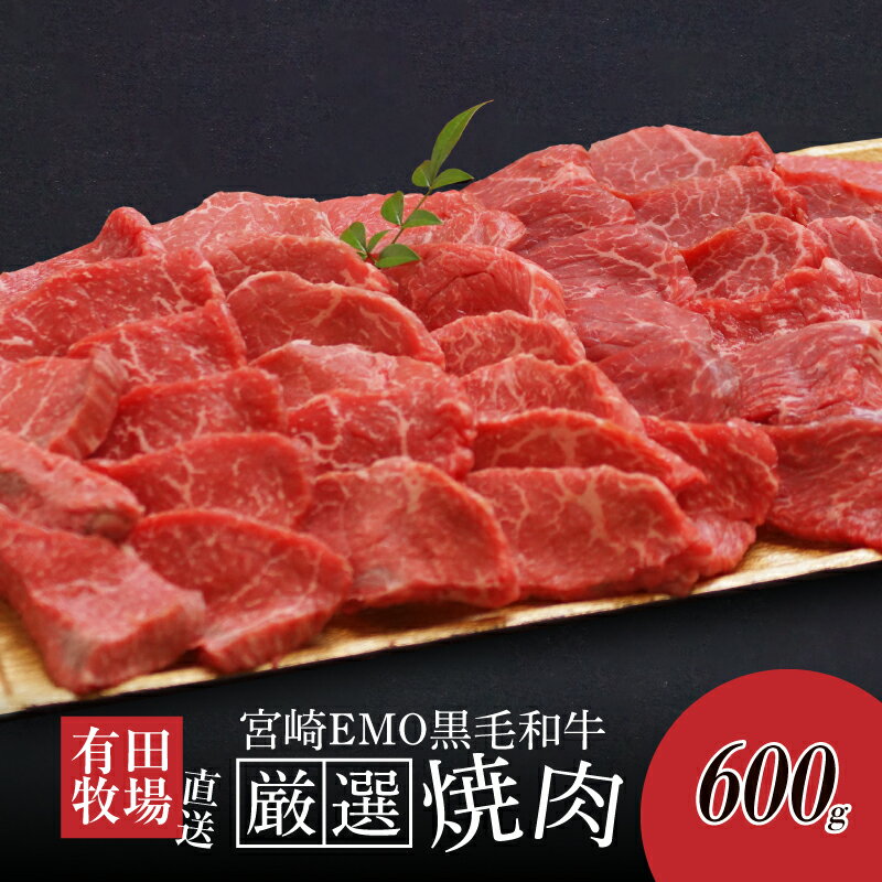 木城ブランチ 木城白木八重牧場育ちの黒毛和牛厳選焼肉 600g - 牛飼一筋 有田牛 牛肉 焼き肉用 赤身肉 エモー牛 あっさりとした黒毛和牛 赤身のうま味 冷凍 送料無料 [宮崎県木城町]