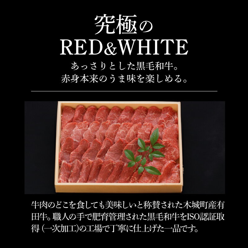 宮崎県木城町の画像2