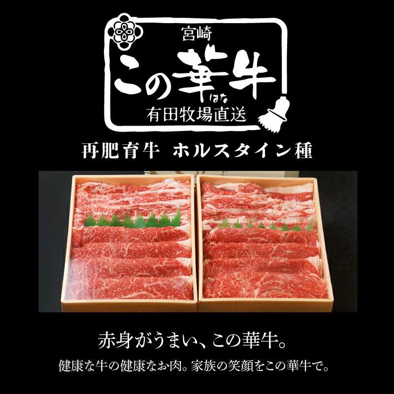 宮崎県木城町の画像2