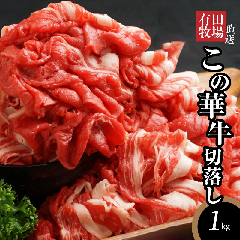 【ふるさと納税】有田牧場直送 この華牛切落し 1kg - 切り落とし 赤身が美味しい EMO牛(エモー牛) 牛肉 有田牧畜産業オリジナルブランド牛 肩ロース/肩/モモ肉/バラ肉を使用した切り落とし 冷凍 ヘルシー 送料無料【宮崎県木城町】